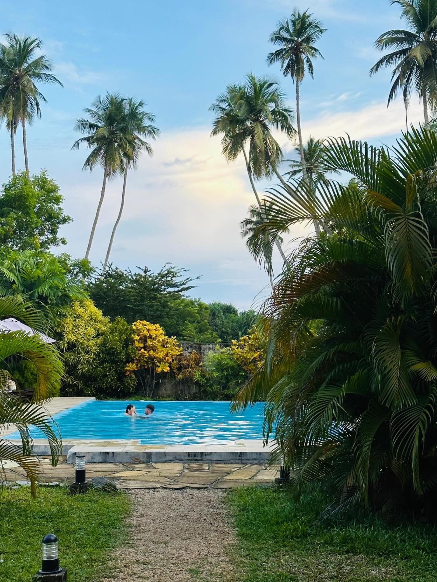 Green Parrot Beach Resort Tangalle Exterior photo