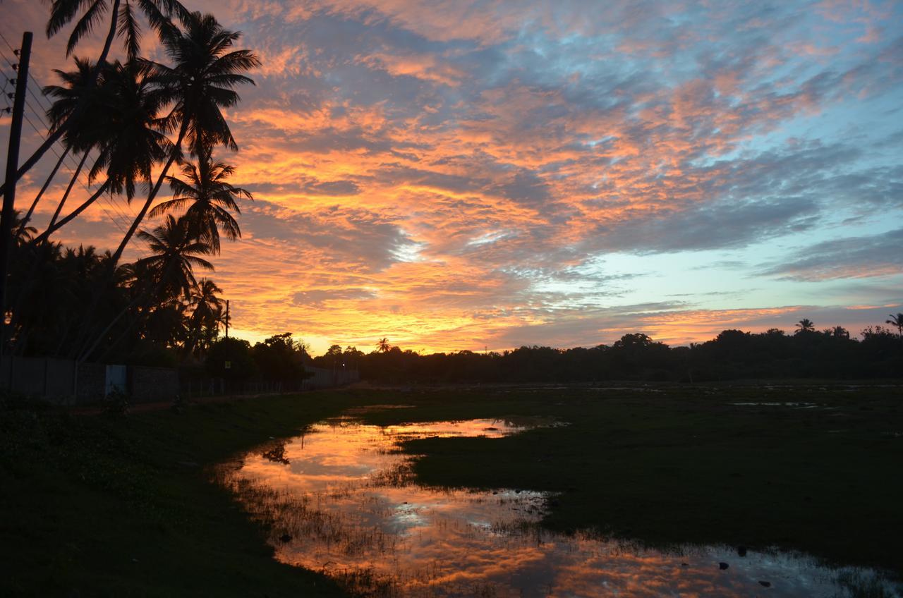Green Parrot Beach Resort Tangalle Exterior photo