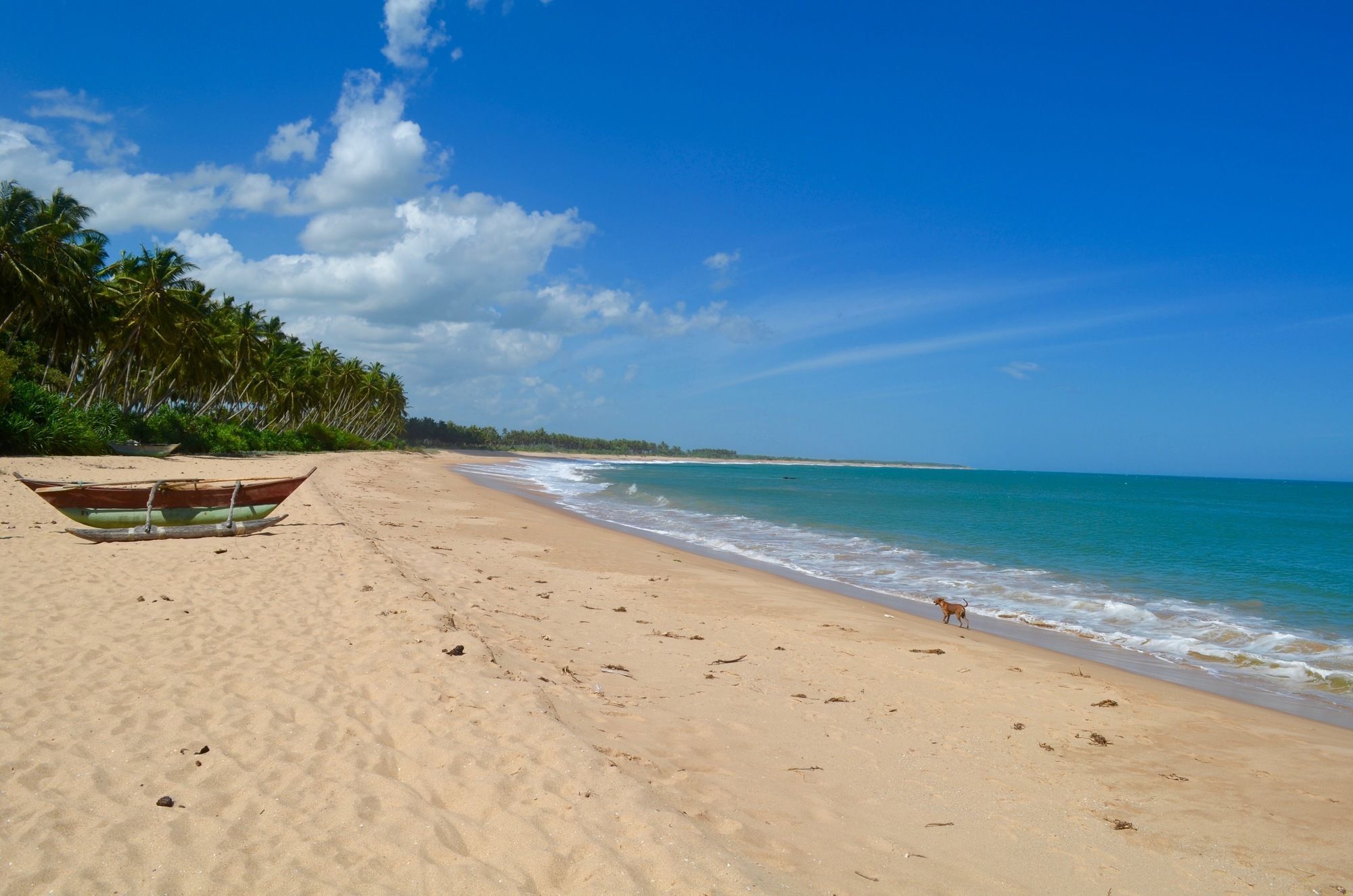 Green Parrot Beach Resort Tangalle Exterior photo